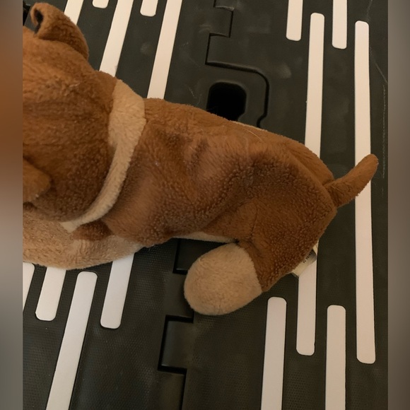 Beanie pup - Picture 5 of 5